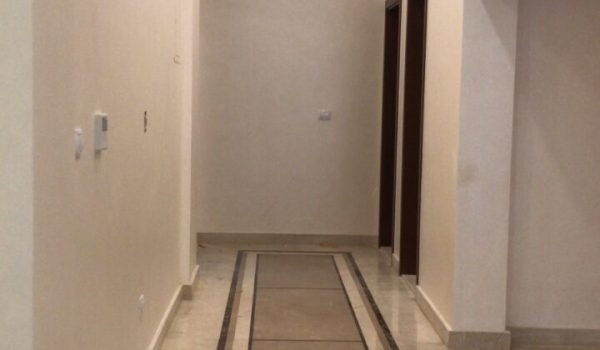 PHOTO-2024-01-21-15-22-41-720x480